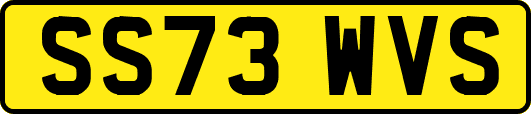 SS73WVS