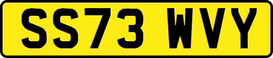 SS73WVY