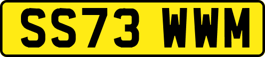 SS73WWM