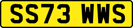 SS73WWS