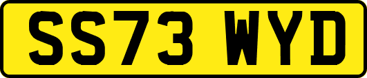 SS73WYD