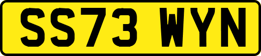 SS73WYN