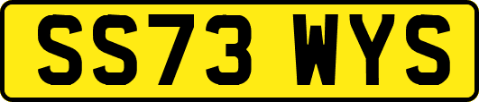 SS73WYS
