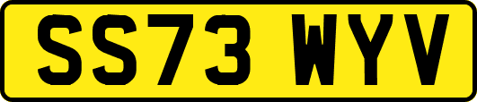 SS73WYV