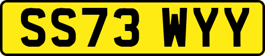 SS73WYY