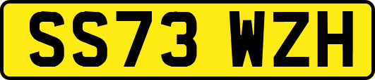 SS73WZH