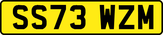SS73WZM