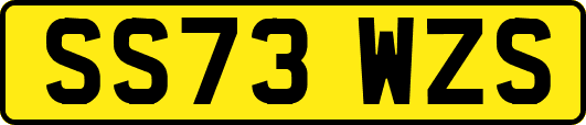 SS73WZS