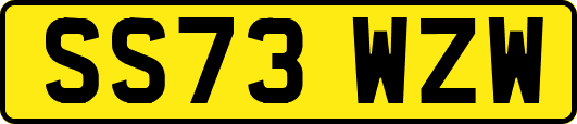SS73WZW