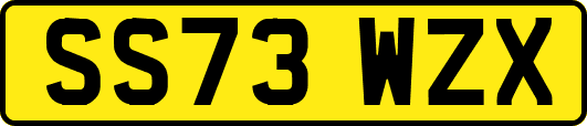 SS73WZX
