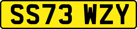 SS73WZY