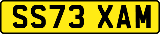 SS73XAM
