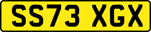 SS73XGX