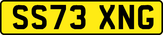 SS73XNG