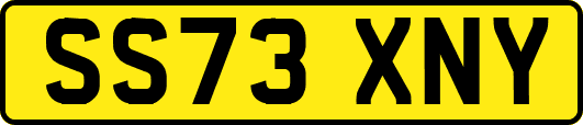 SS73XNY
