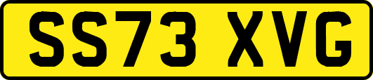 SS73XVG