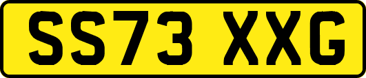 SS73XXG