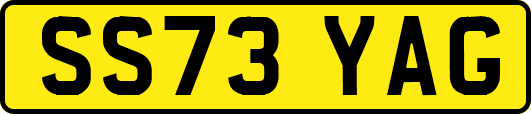 SS73YAG