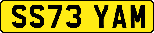 SS73YAM