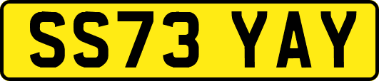 SS73YAY