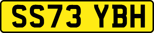 SS73YBH