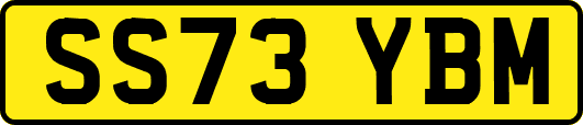 SS73YBM