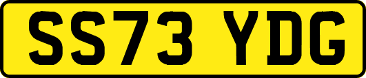 SS73YDG