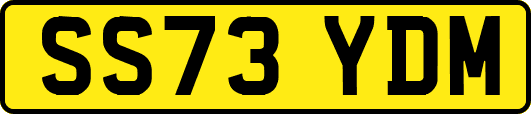 SS73YDM