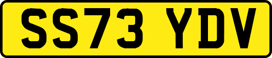 SS73YDV