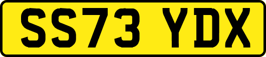 SS73YDX