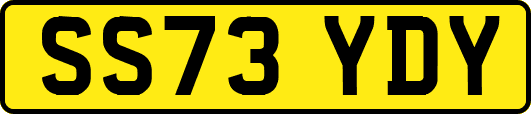 SS73YDY
