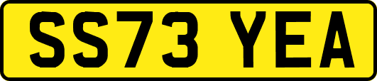 SS73YEA