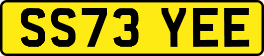 SS73YEE