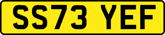 SS73YEF
