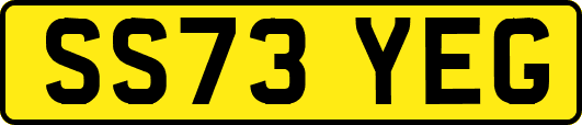 SS73YEG