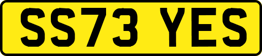 SS73YES