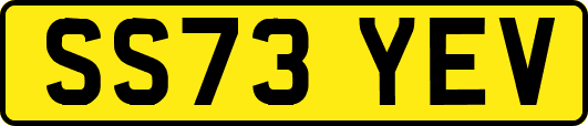 SS73YEV
