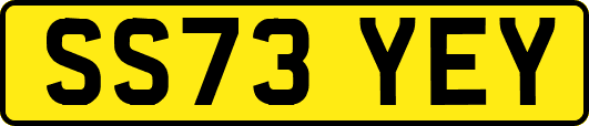SS73YEY