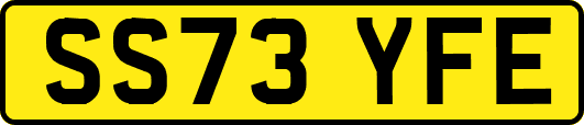 SS73YFE