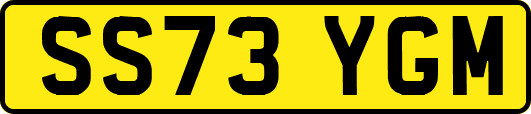 SS73YGM