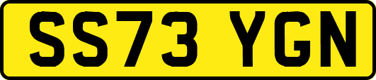 SS73YGN