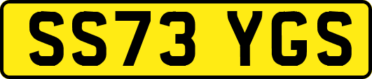 SS73YGS