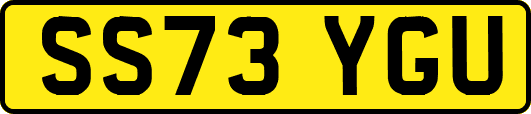 SS73YGU