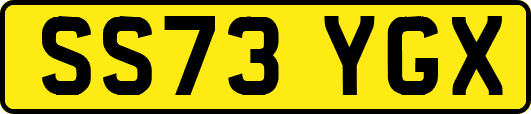 SS73YGX