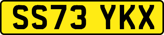 SS73YKX