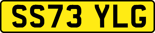 SS73YLG