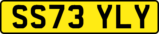 SS73YLY