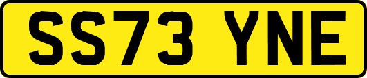 SS73YNE