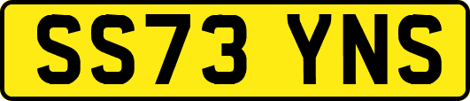 SS73YNS