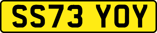 SS73YOY
